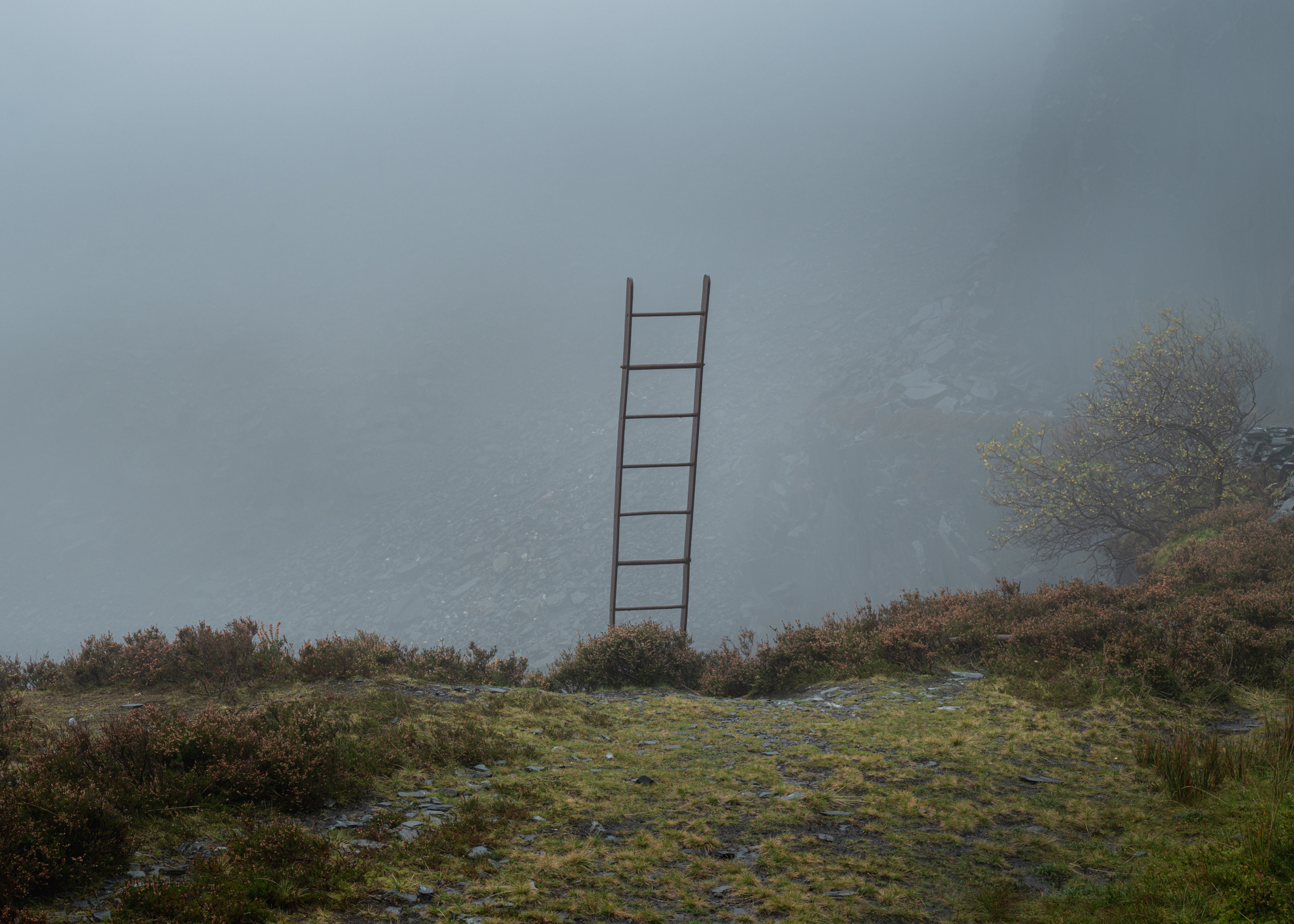 Dinorwig Quarry Ladder